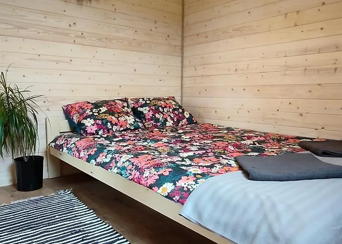 W Szczerym Polu Wejsuny