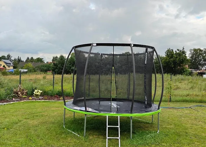 W Szczerym Polu Wejsuny